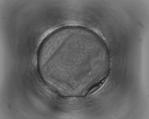 X0000112101167200908251143