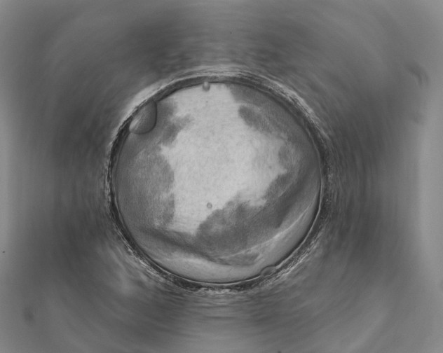 X0000112101168200908251143