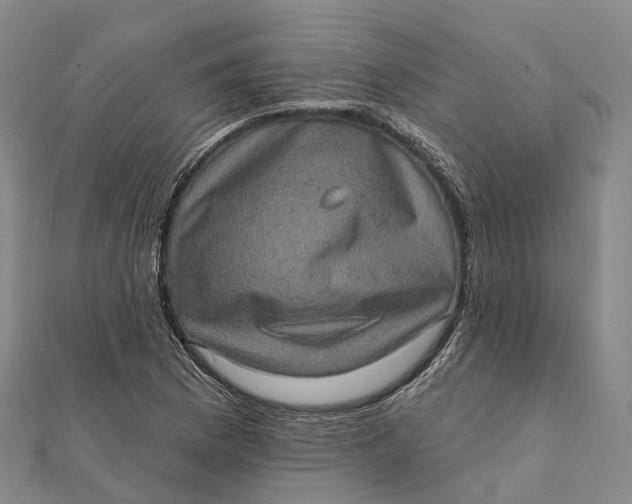 X0000112101169200908251143