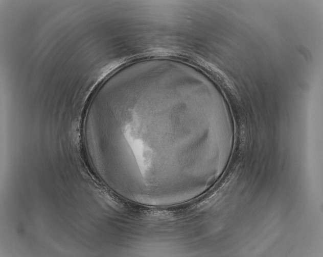 X0000112101170200908251143