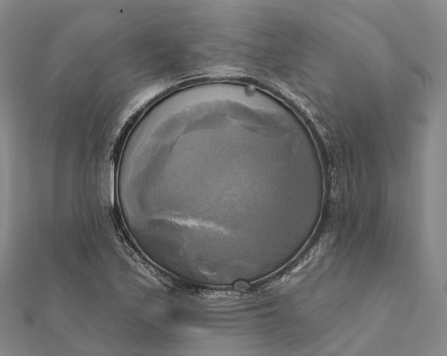 X0000112101171200908251143