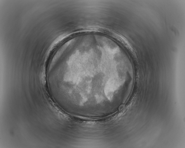 X0000112101172200908251143