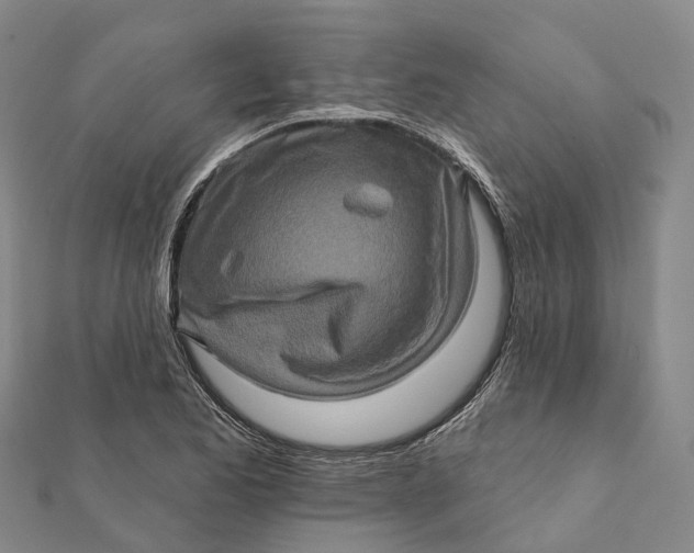 X0000112101173200908251143