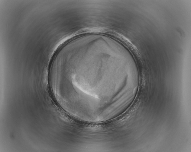 X0000112101174200908251143