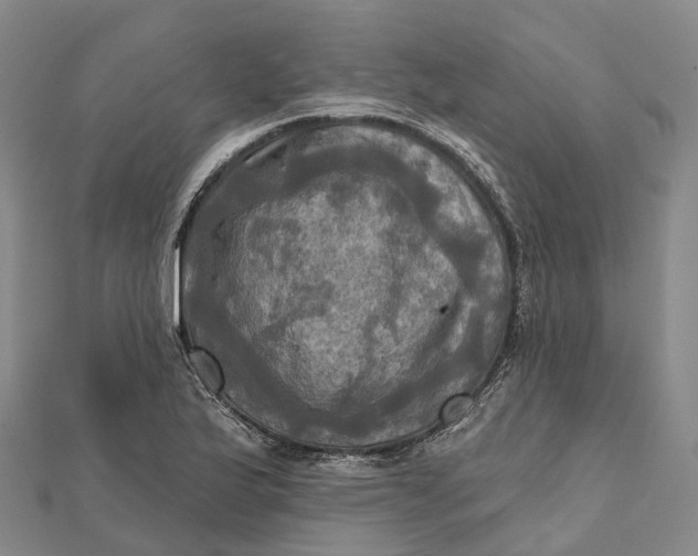 X0000112101175200908251143