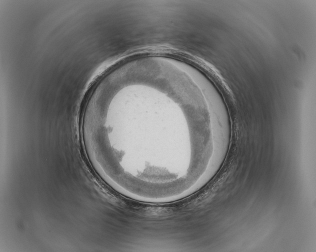 X0000112101176200908251143