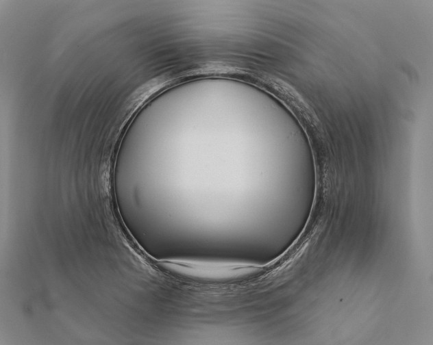 X0000112101177200908251143