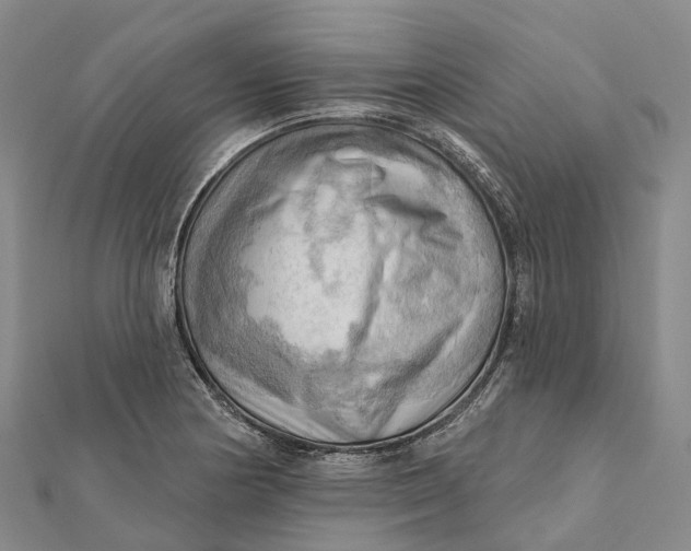 X0000112101178200908251143