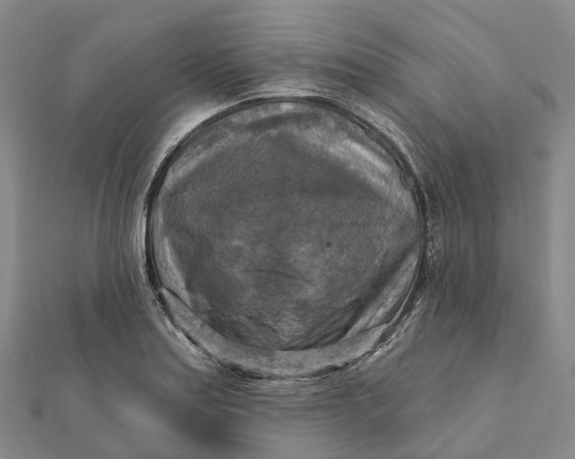 X0000112101179200908251143