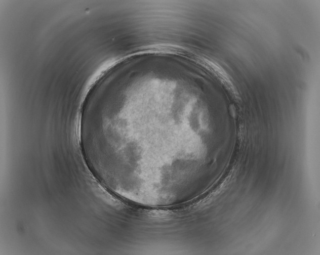 X0000112101180200908251143