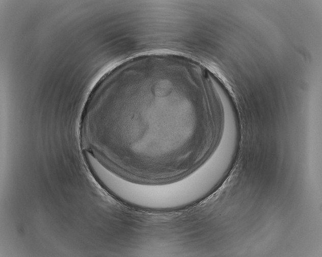 X0000112101181200908251143