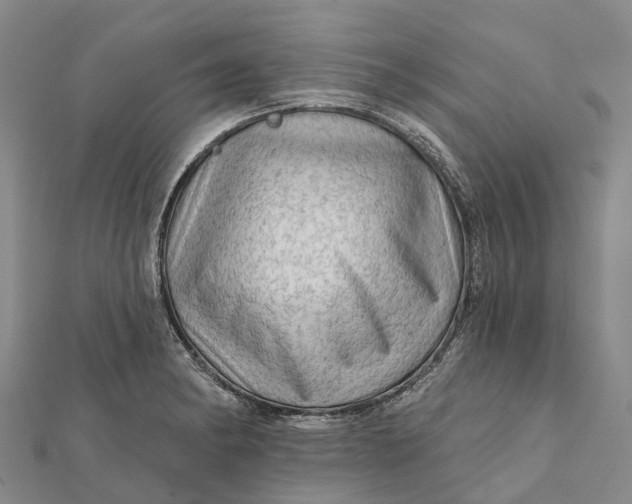 X0000112101182200908251143