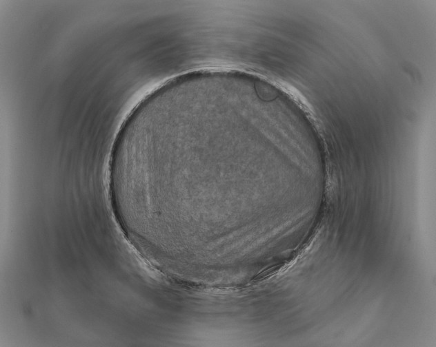 X0000112101183200908251143