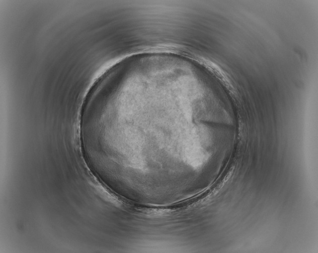 X0000112101184200908251143