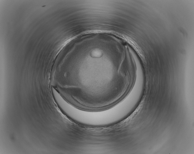 X0000112101185200908251143