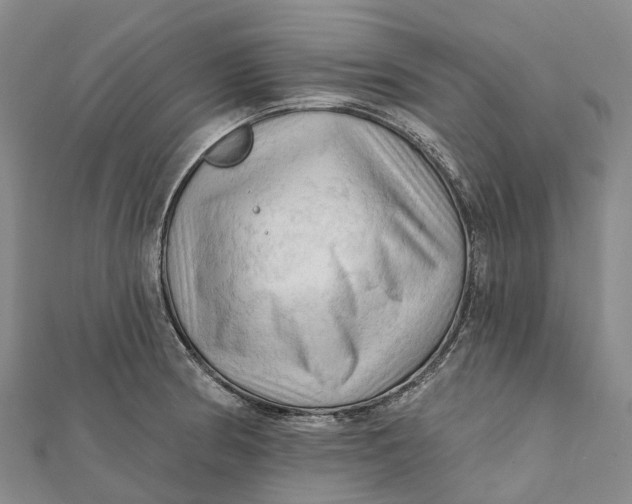 X0000112101186200908251143