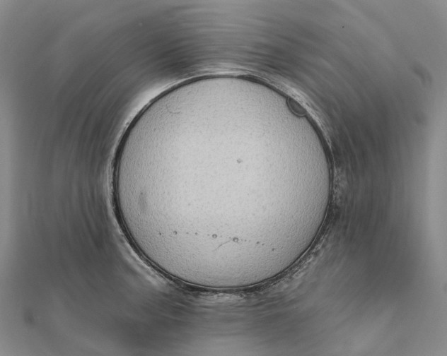 X0000112101187200908251143