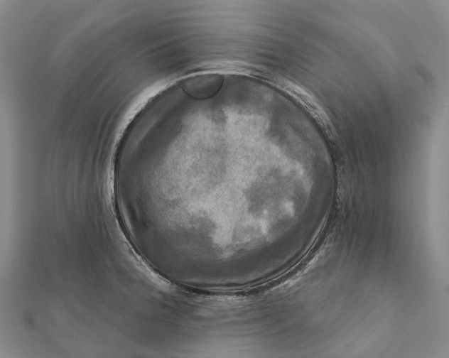 X0000112101188200908251143