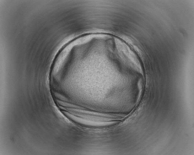 X0000112101189200908251143