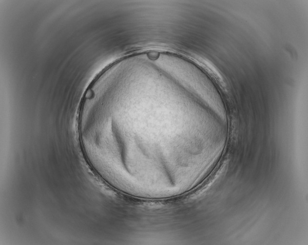 X0000112101190200908251143