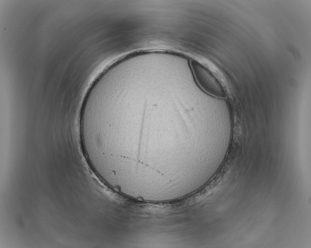 X0000112101191200908251143