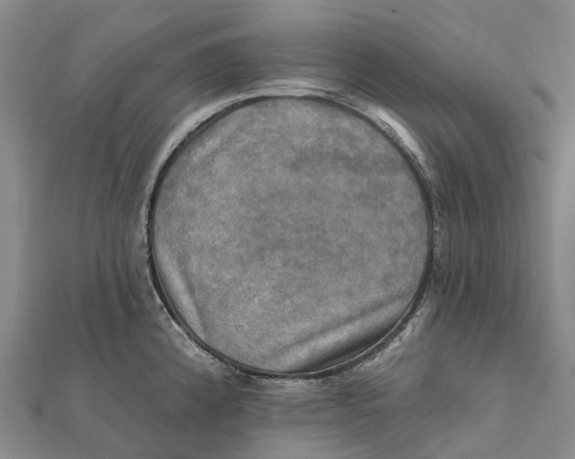 X0000112101192200908251143