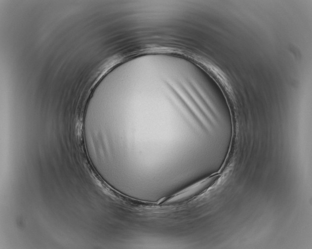 X0000112101193200908251143