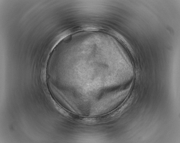 X0000112101194200908251143