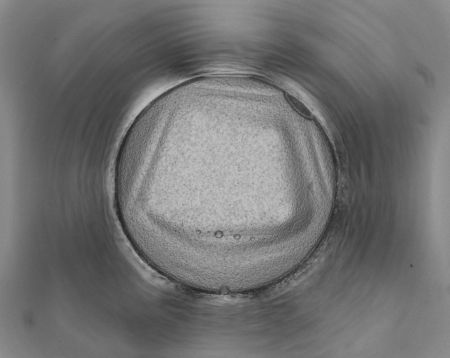 X0000112101195200908251143