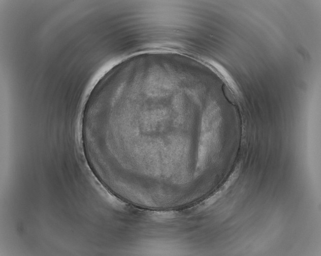 X0000112101196200908251143