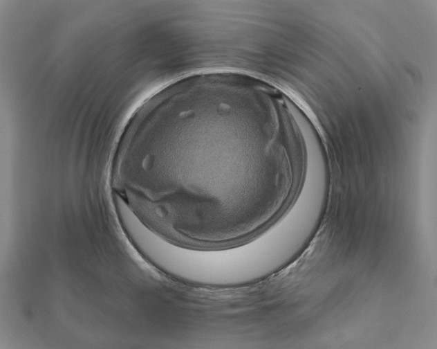 X0000112101197200908251143