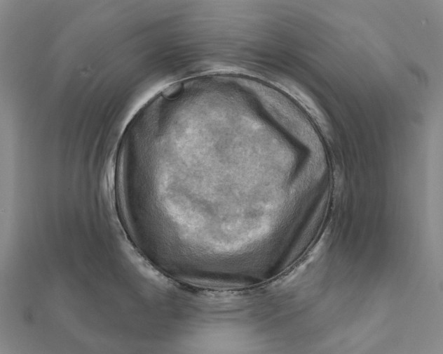 X0000112101198200908251143