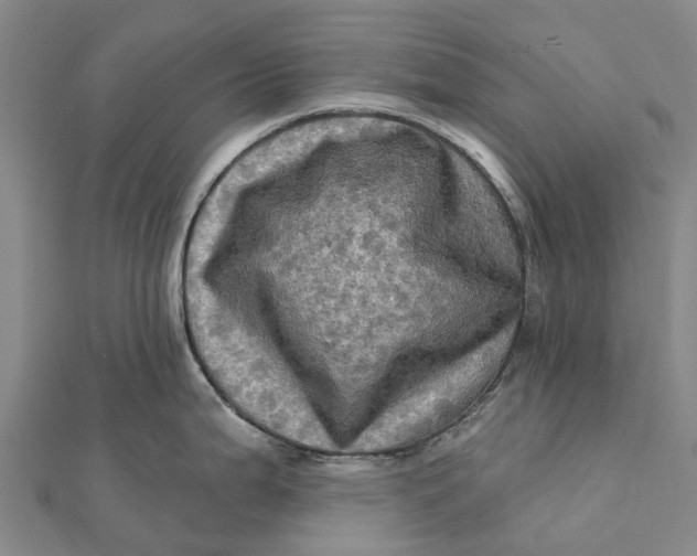 X0000112101199200908251143