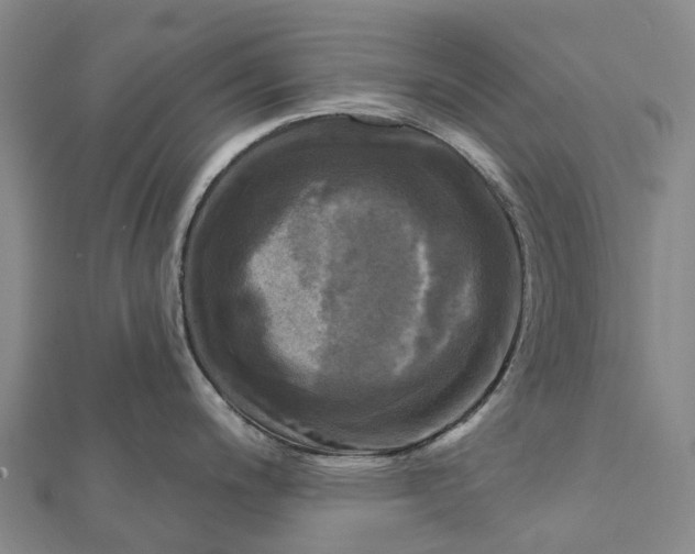 X0000112101200200908251143