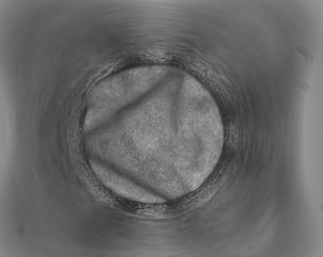 X0000112101201200908251142