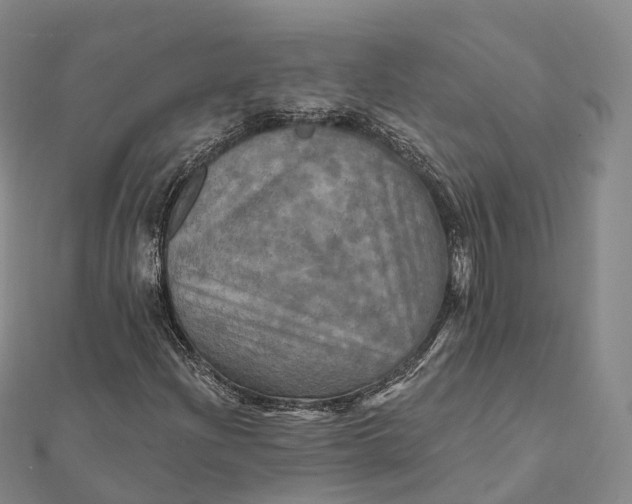 X0000112101204200908251142