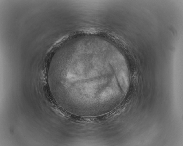 X0000112101205200908251142