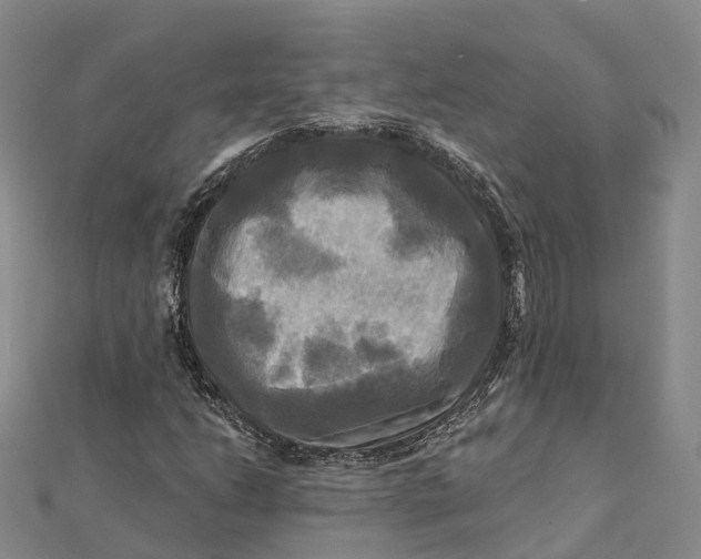 X0000112101206200908251142