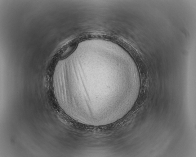 X0000112101207200908251142