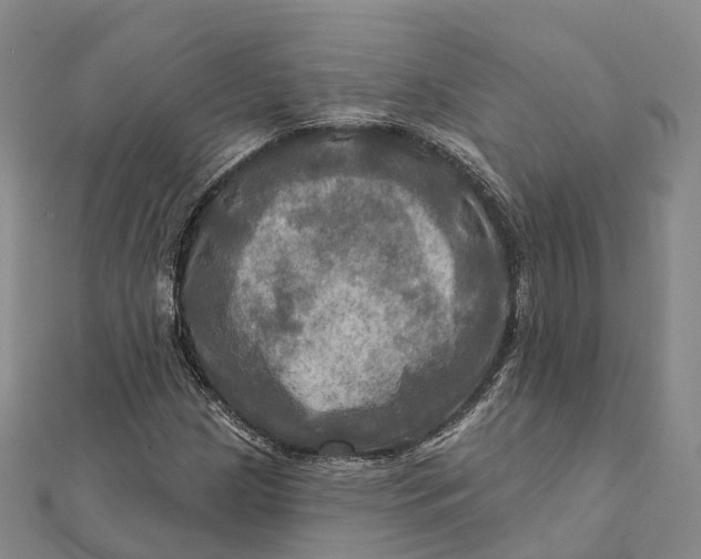 X0000112101209200908251142