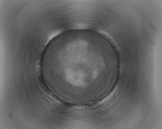 X0000112101210200908251142