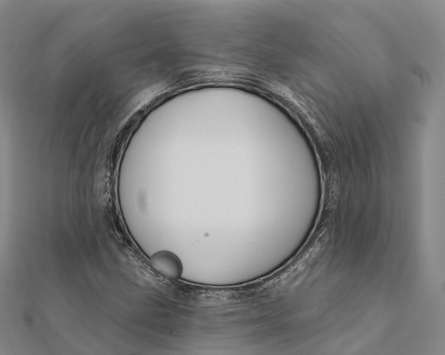 X0000112101211200908251142