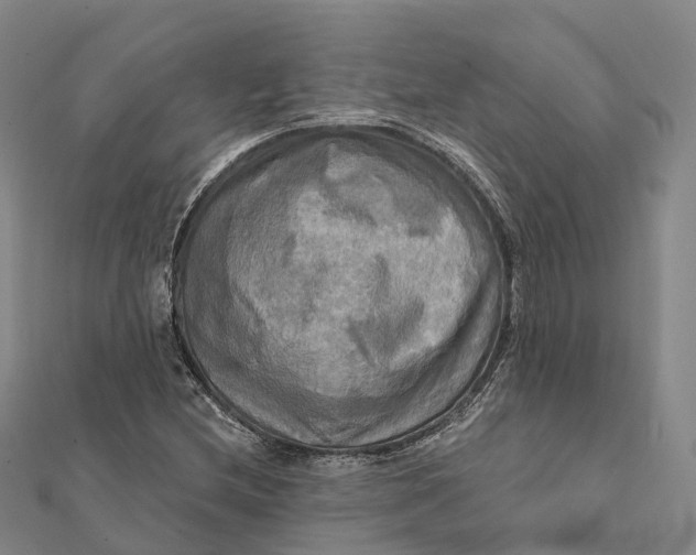 X0000112101212200908251142