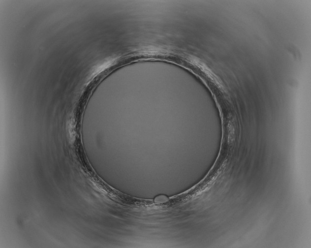 X0000112101213200908251142