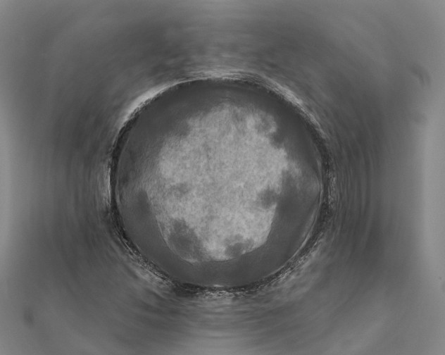 X0000112101214200908251142