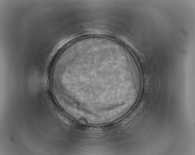 X0000112101215200908251142