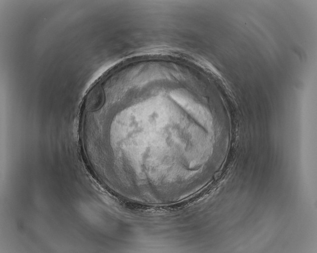 X0000112101216200908251142