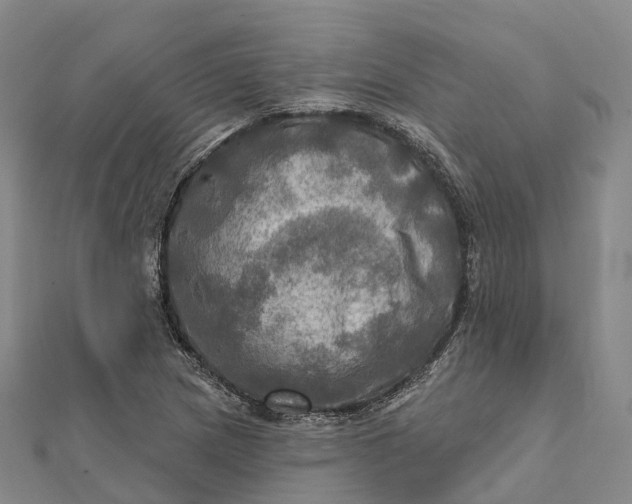 X0000112101217200908251142