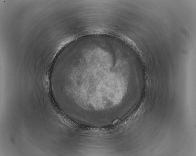 X0000112101218200908251142