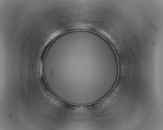 X0000112101219200908251142